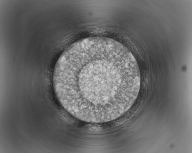 X0000116490658201001201404