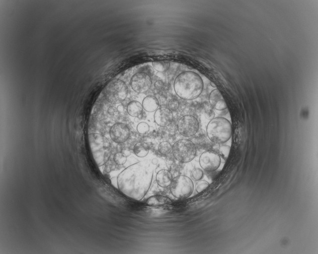 X0000116490662201001201404