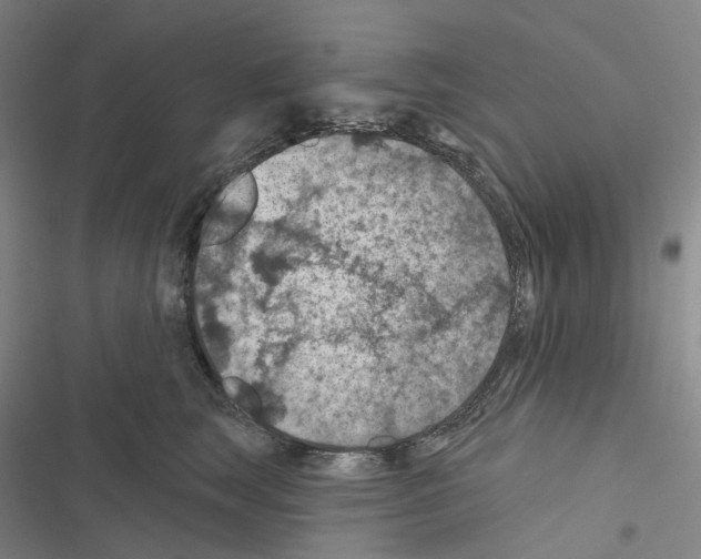 X0000116490663201001201404