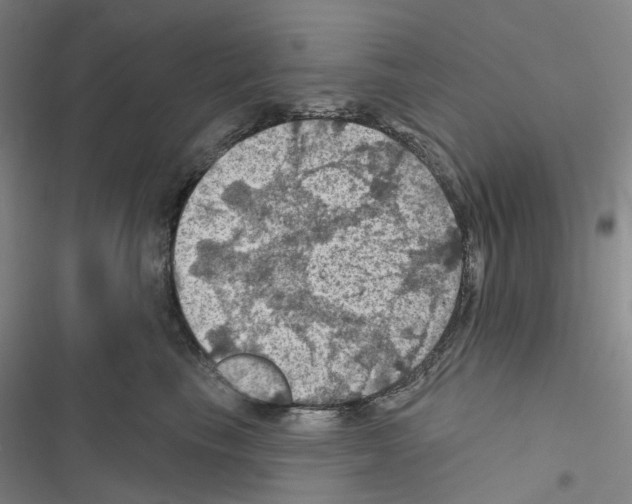 X0000116490665201001201404