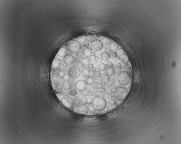 X0000116490666201001201404