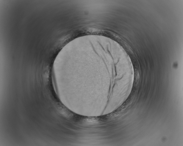 X0000116490668201001201404