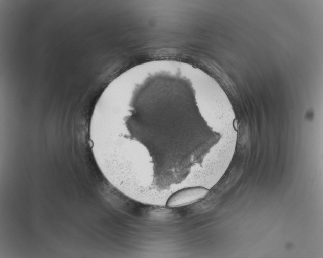 X0000116490669201001201404