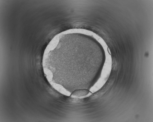 X0000116490670201001201404