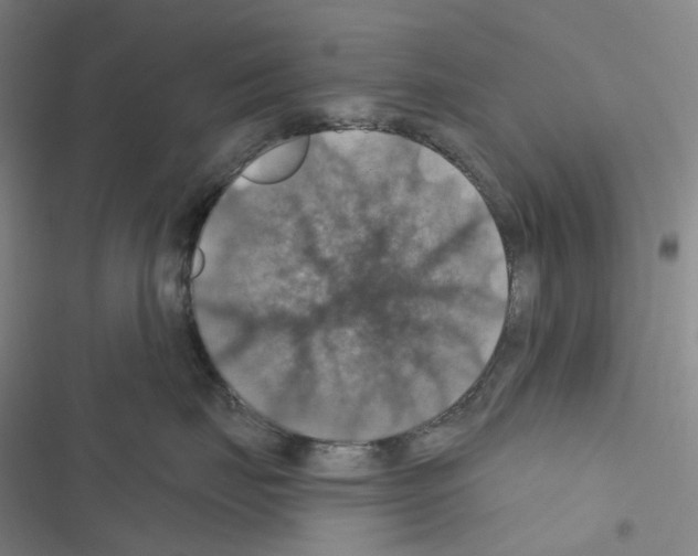 X0000116490671201001201404