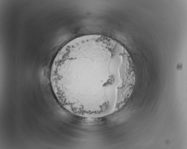 X0000116490672201001201404