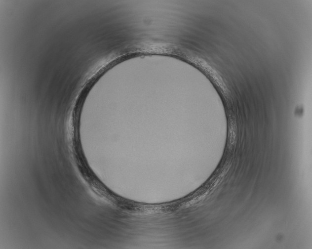 X0000116490674201001201404