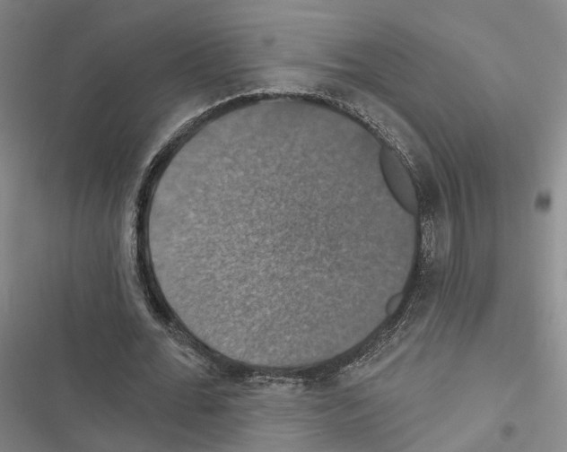 X0000116490676201001201404