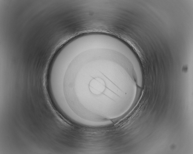 X0000116490677201001201404