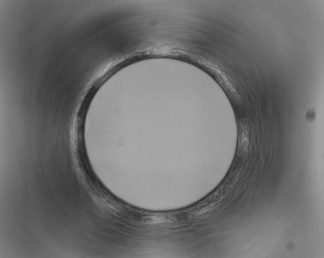 X0000116490678201001201404