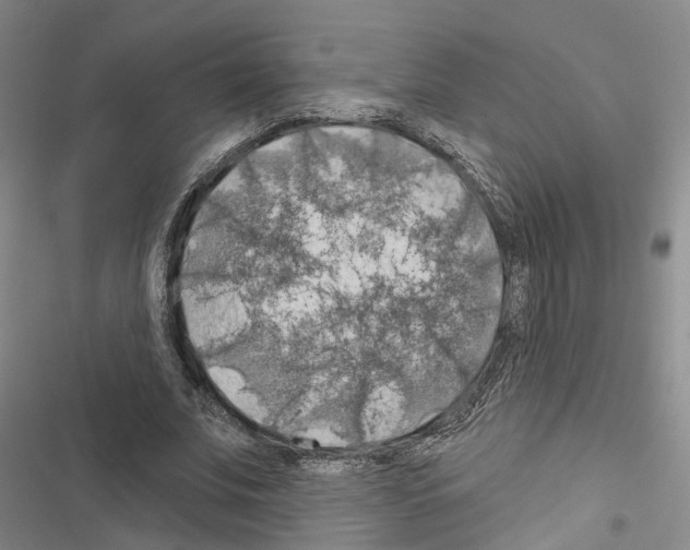 X0000116490679201001201404