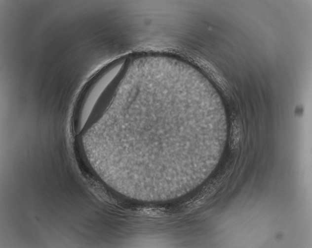 X0000116490680201001201404