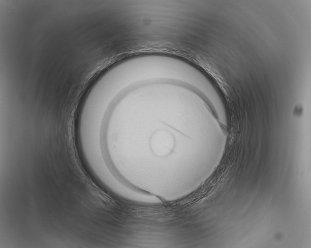 X0000116490681201001201404