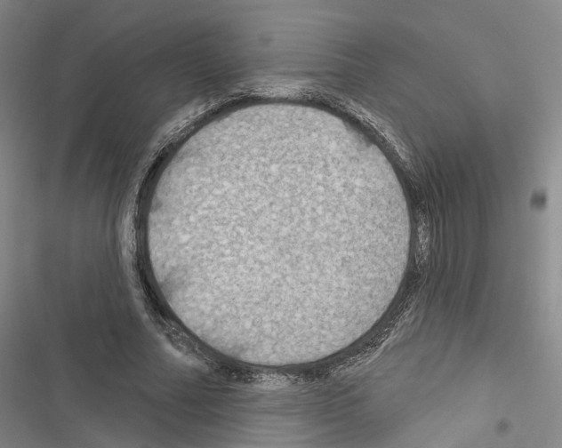 X0000116490682201001201404