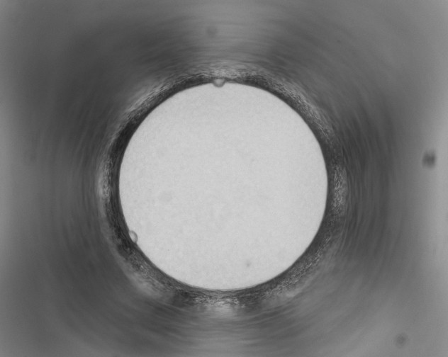 X0000116490683201001201404