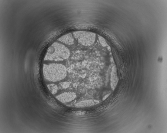 X0000116490687201001201403