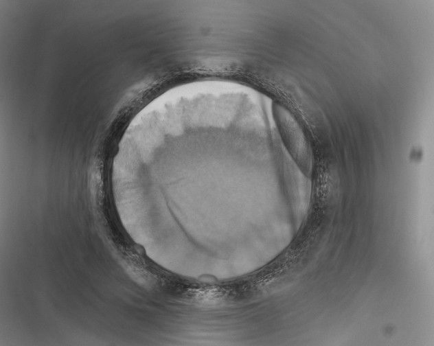 X0000116490688201001201403