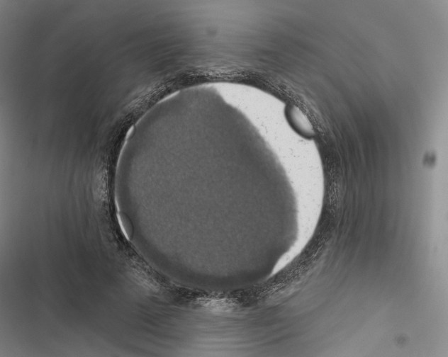 X0000116490689201001201403