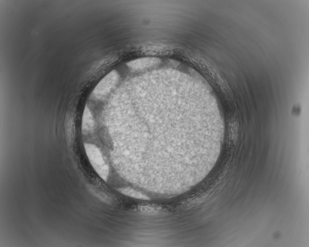 X0000116490690201001201403