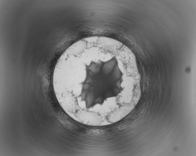 X0000116490691201001201403