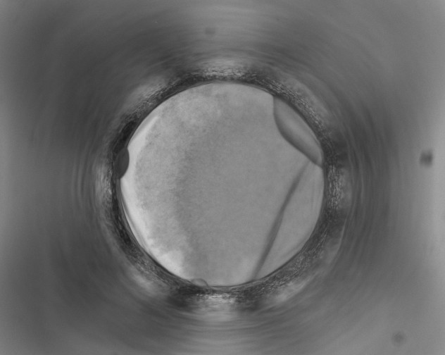 X0000116490692201001201403