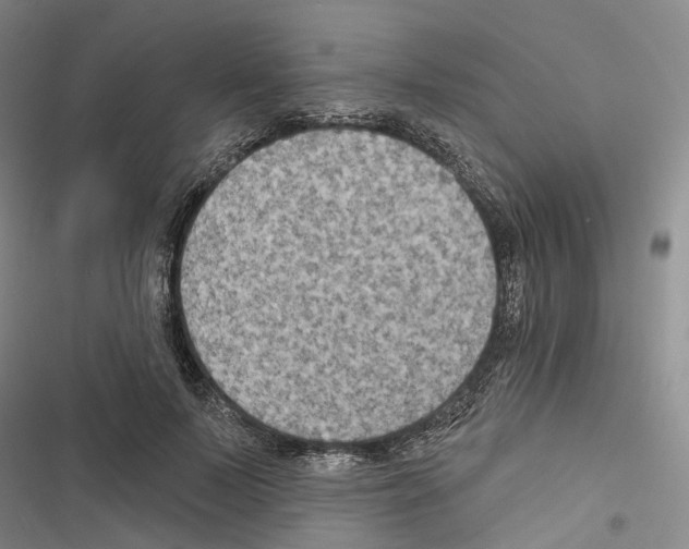 X0000116490695201001201403