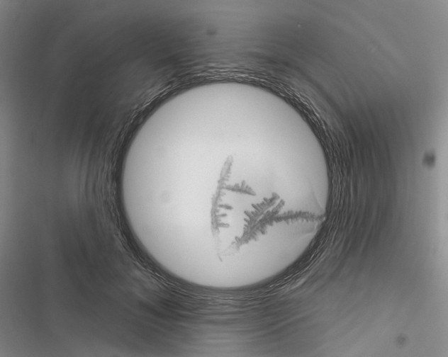 X0000116490700201001201403