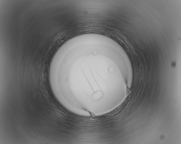 X0000116490701201001201403