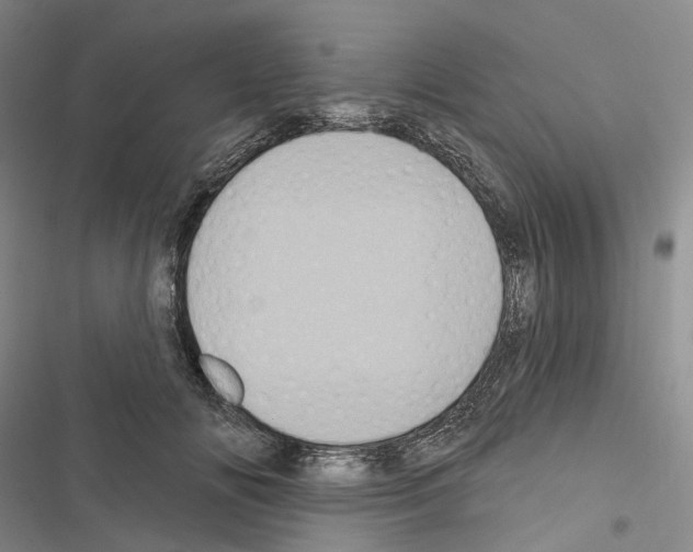 X0000116490702201001201403