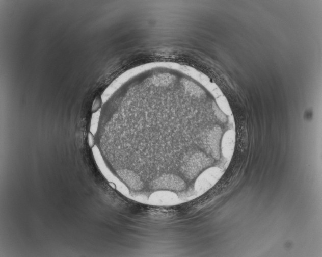 X0000116490707201001201403