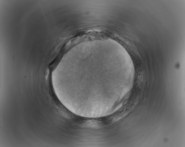 X0000116490708201001201403