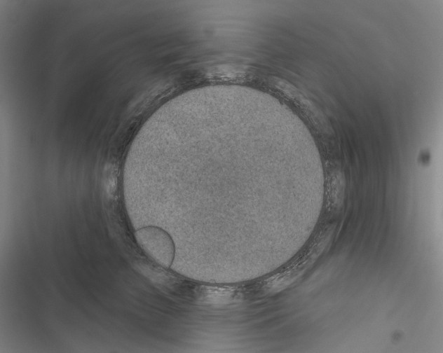 X0000116490709201001201403