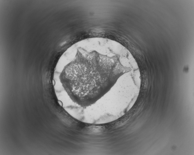 X0000116490711201001201403