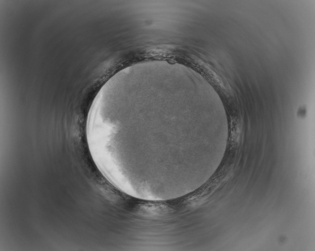 X0000116490712201001201403