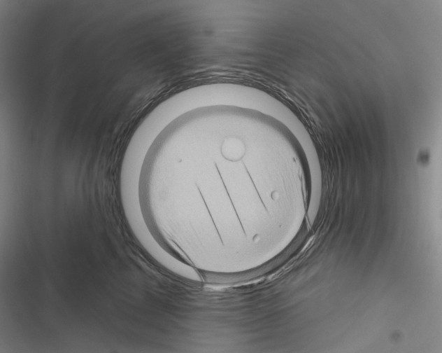 X0000116490713201001201403