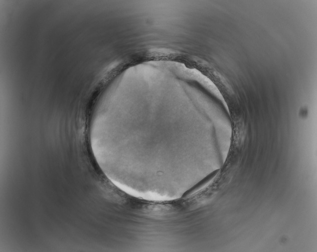 X0000116490716201001201403