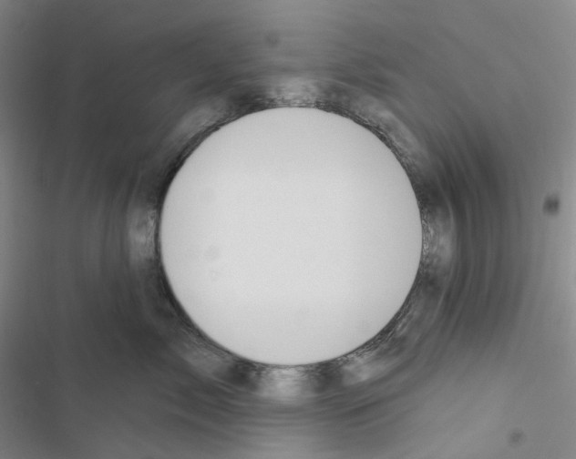 X0000116490717201001201403