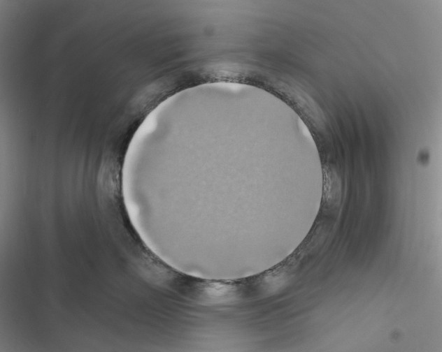 X0000116490718201001201403