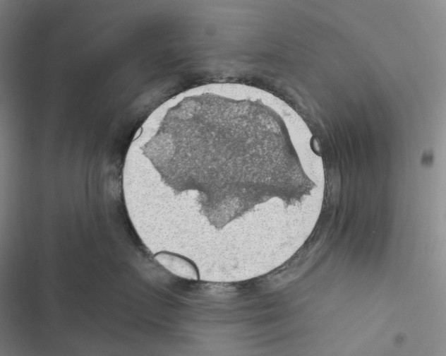 X0000116490719201001201403