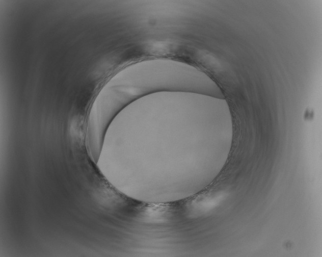 X0000116490720201001201403