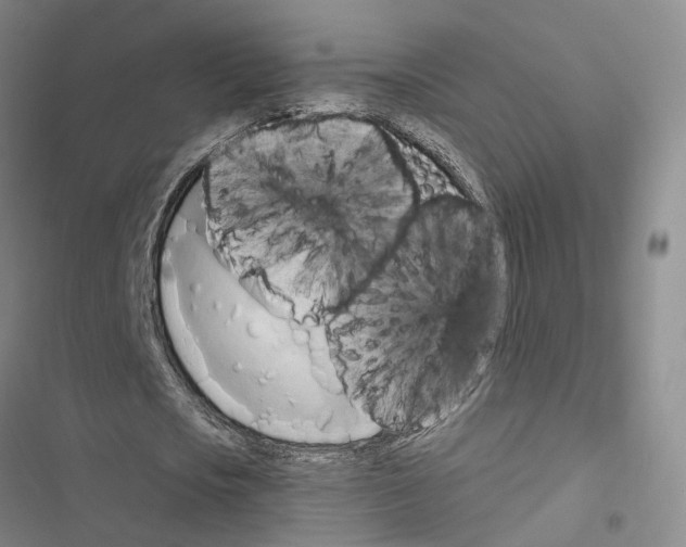 X0000116490721201001201402