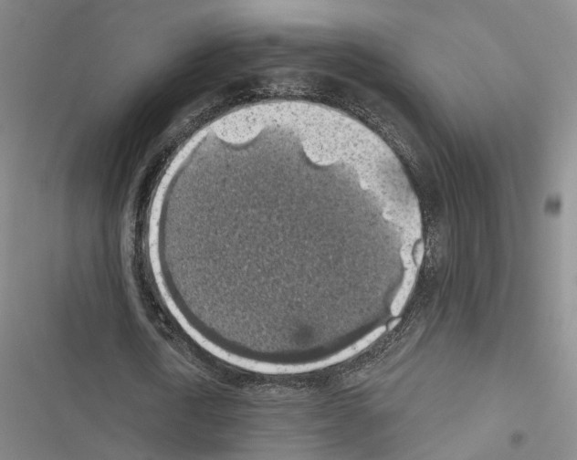 X0000116490722201001201402