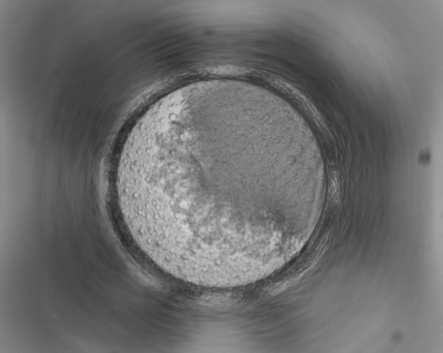 X0000116490725201001201402