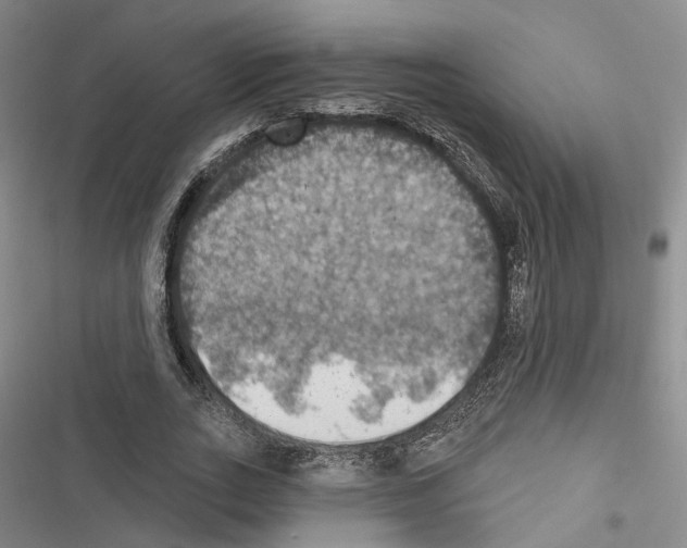 X0000116490727201001201402