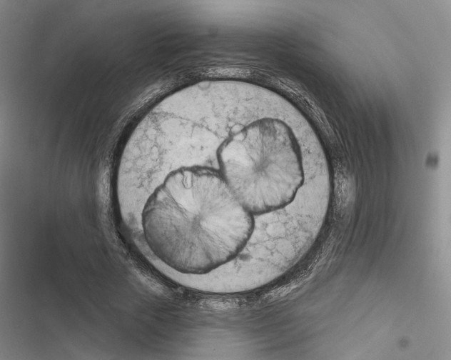 X0000116490729201001201402