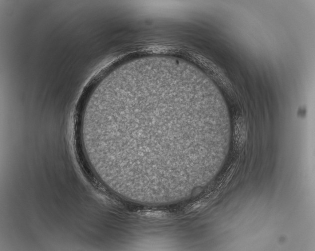 X0000116490730201001201402