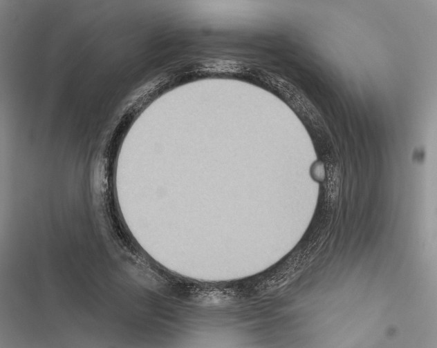 X0000116490731201001201403