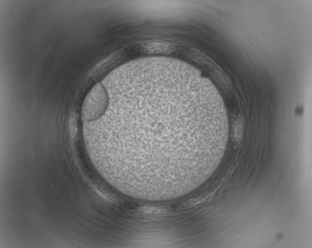 X0000116490733201001201403