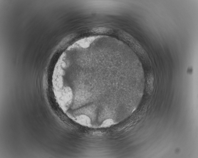 X0000116490734201001201403