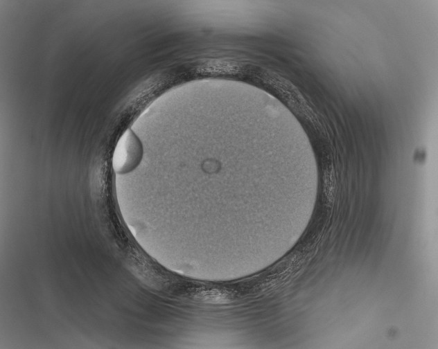 X0000116490735201001201403